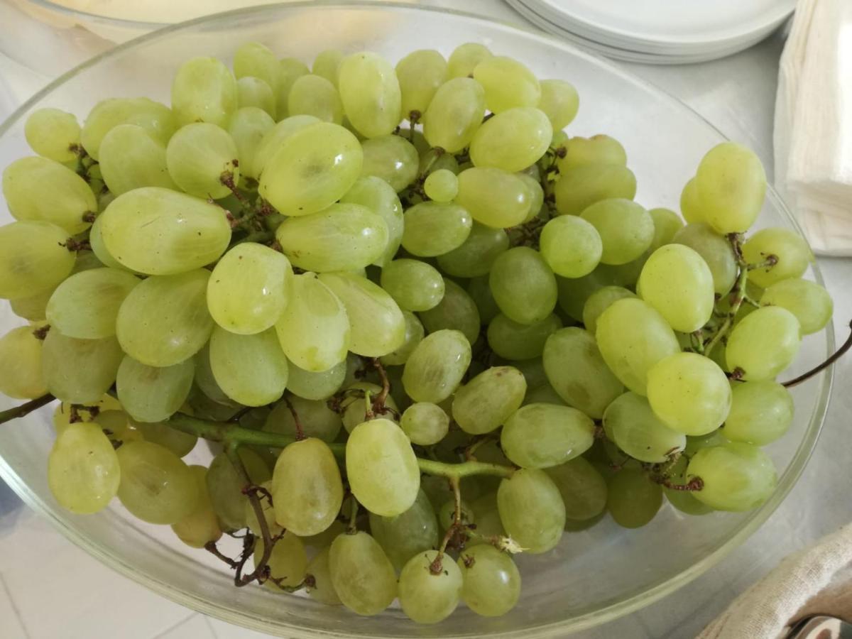 La Belle Vie B&B 산타마리아디카스텔라바테 외부 사진